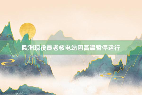 欧洲现役最老核电站因高温暂停运行