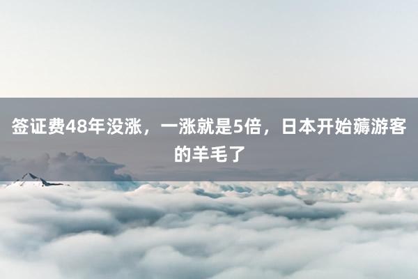 签证费48年没涨，一涨就是5倍，日本开始薅游客的羊毛了