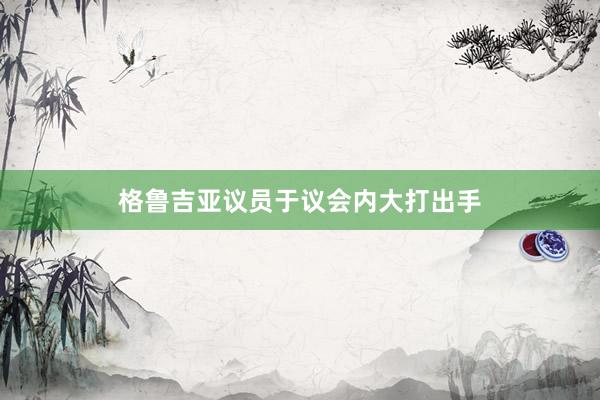 格鲁吉亚议员于议会内大打出手
