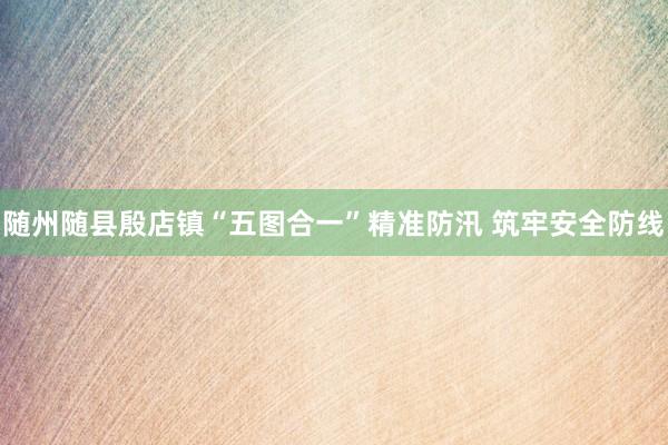 随州随县殷店镇“五图合一”精准防汛 筑牢安全防线