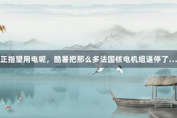 正指望用电呢，酷暑把那么多法国核电机组逼停了…