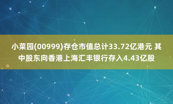 小菜园(00999)存仓市值总计33.72亿港元 其中股东向香港上海汇丰银行存入4.43亿股