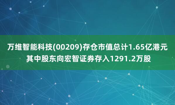 万维智能科技(00209)存仓市值总计1.65亿港元 其中股东向宏智证券存入1291.2万股