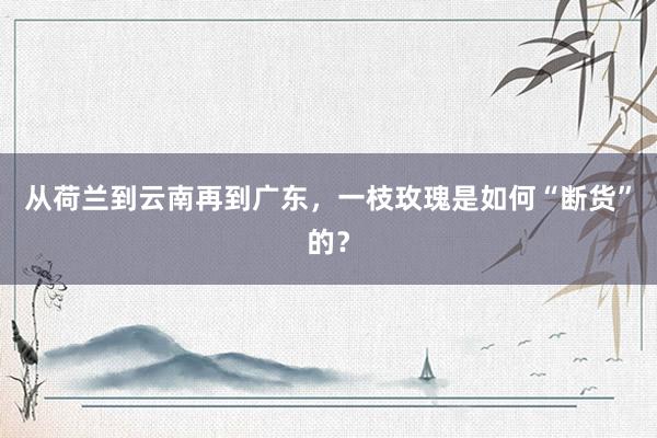 从荷兰到云南再到广东，一枝玫瑰是如何“断货”的？