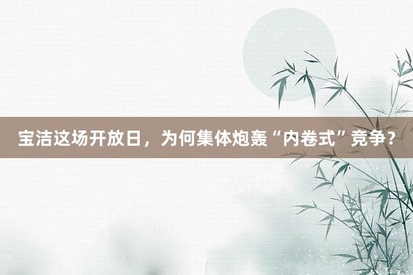 宝洁这场开放日，为何集体炮轰“内卷式”竞争？