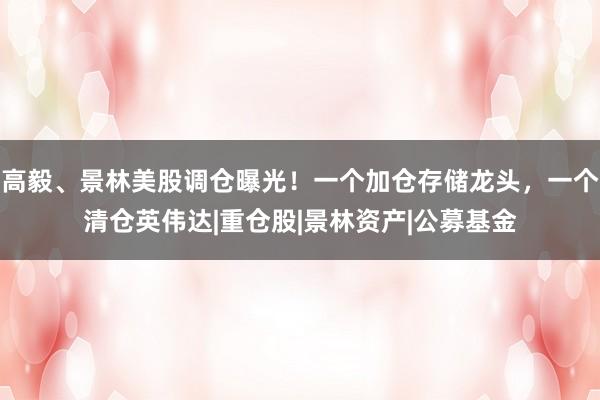 高毅、景林美股调仓曝光！一个加仓存储龙头，一个清仓英伟达|重仓股|景林资产|公募基金