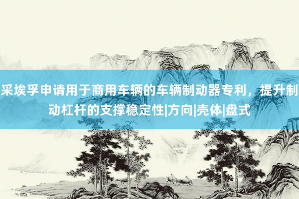 采埃孚申请用于商用车辆的车辆制动器专利，提升制动杠杆的支撑稳定性|方向|壳体|盘式