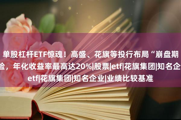 单股杠杆ETF惊魂！高盛、花旗等投行布局“崩盘期权”转嫁尾部风险，年化收益率最高达20%|股票|etf|花旗集团|知名企业|业绩比较基准