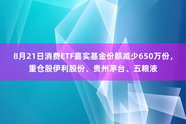 8月21日消费ETF嘉实基金份额减少650万份，重仓股伊利股份、贵州茅台、五粮液