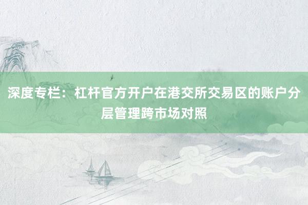 深度专栏：杠杆官方开户在港交所交易区的账户分层管理跨市场对照