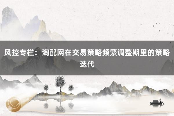 风控专栏：淘配网在交易策略频繁调整期里的策略迭代