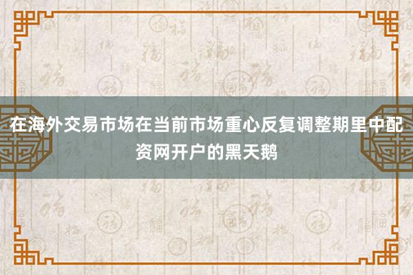 在海外交易市场在当前市场重心反复调整期里中配资网开户的黑天鹅