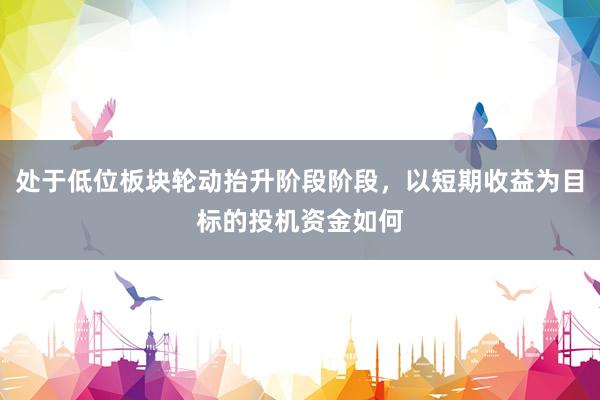 处于低位板块轮动抬升阶段阶段，以短期收益为目标的投机资金如何
