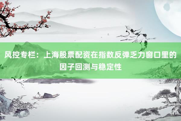 风控专栏：上海股票配资在指数反弹乏力窗口里的因子回测与稳定性