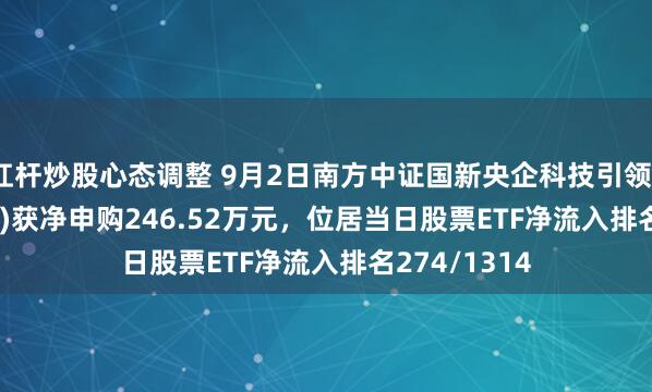 杠杆炒股心态调整 9月2日南方中证国新央企科技引领ETF(560170)获净申购246.52万元，位居当日股票ETF净流入排名274/1314