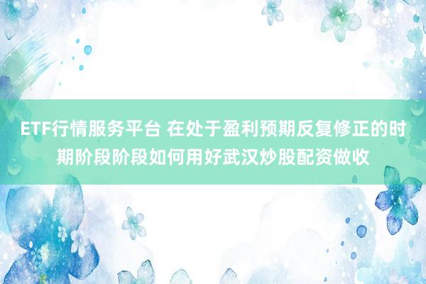 ETF行情服务平台 在处于盈利预期反复修正的时期阶段阶段如何用好武汉炒股配资做收