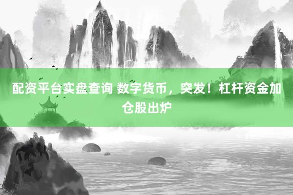 配资平台实盘查询 数字货币，突发！杠杆资金加仓股出炉