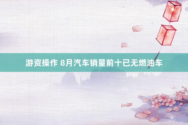 游资操作 8月汽车销量前十已无燃油车