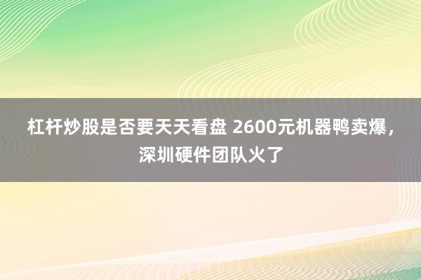 杠杆炒股是否要天天看盘 2600元机器鸭卖爆，深圳硬件团队火了